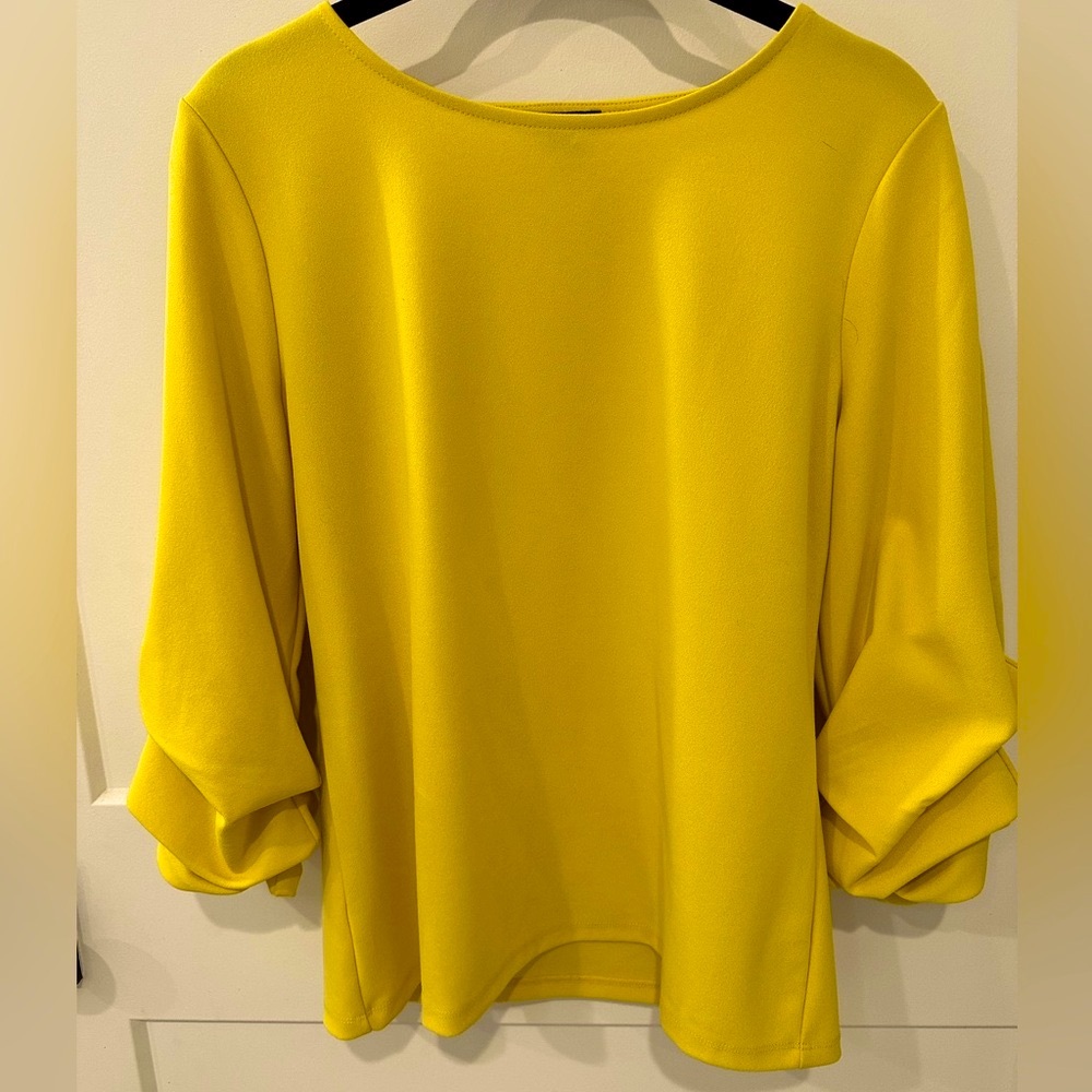 Ann Taylor Blouse with balloon sleeves. Beautiful! Excellent Condition!
